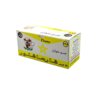 HERBEX TISANE BRUL GRAISSE N9 B20
