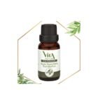 VITA NATURE HUILE ESSENTIELLE D'EUCALYPTUS 15ML